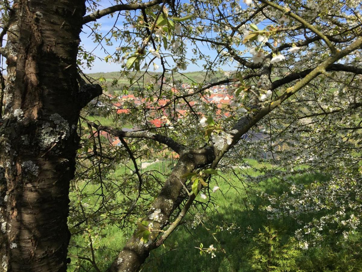 Sweetsuites 40A Lavendelhaus Mühlhausen Екстериор снимка