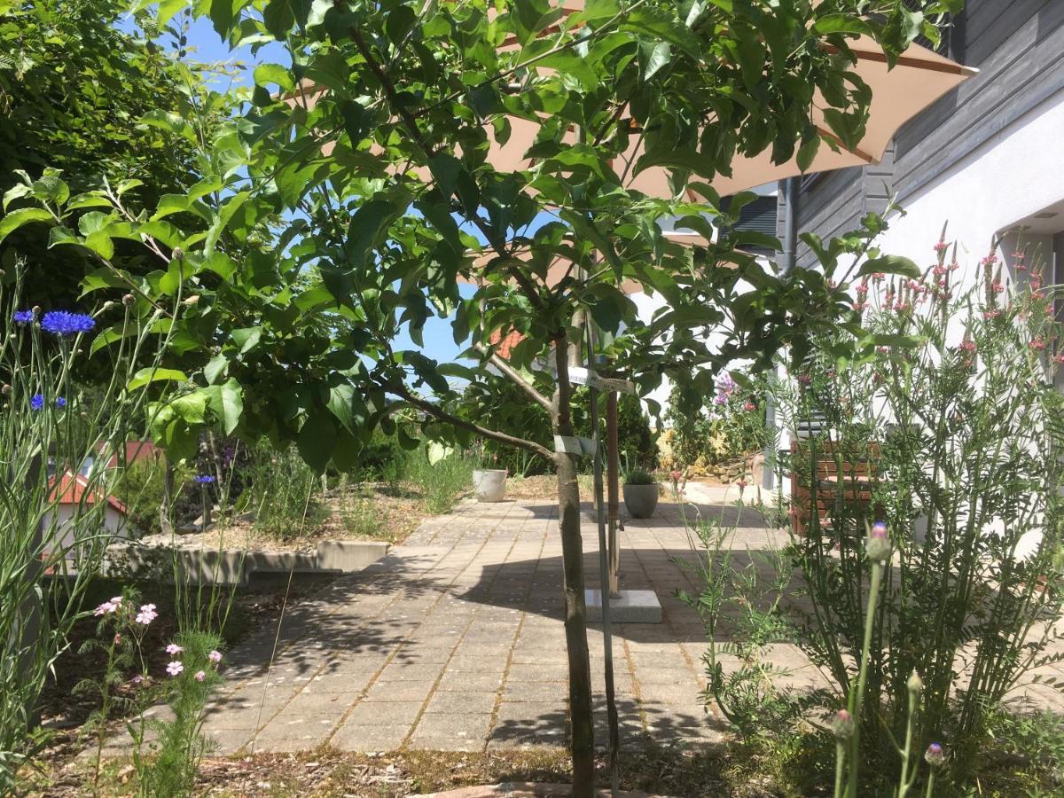 Sweetsuites 40A Lavendelhaus Mühlhausen Екстериор снимка