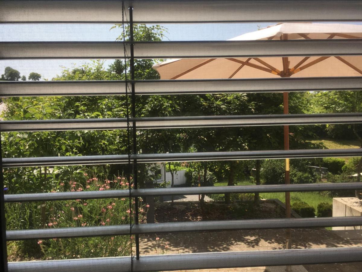 Sweetsuites 40A Lavendelhaus Mühlhausen Екстериор снимка